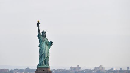 La statue de la Liberté, à New York (Etats-Unis), le 1er juillet 2017.&nbsp; (LOIC VENANCE / AFP)