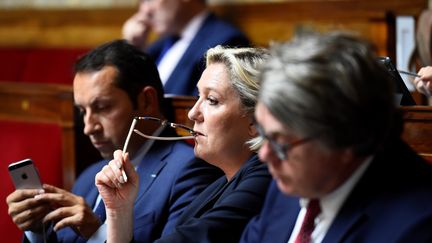 Marine Le Pen sur les bancs de l'Assemblée nationale le 10 juillet 2017. (BERTRAND GUAY / AFP)