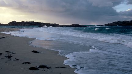 Une plage des Côtes-d'Armor, en Bretagne.&nbsp; (PHILIPPE BOUSSEAUD / BIOSPHOTO)