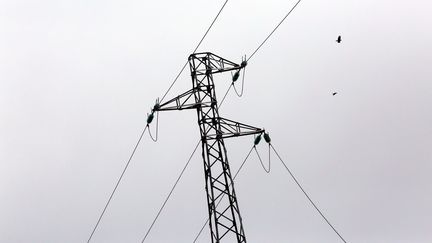 Électricité : une semaine sous tension