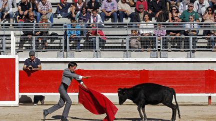 &nbsp; (JEAN-PAUL PELISSIER / REUTERS)