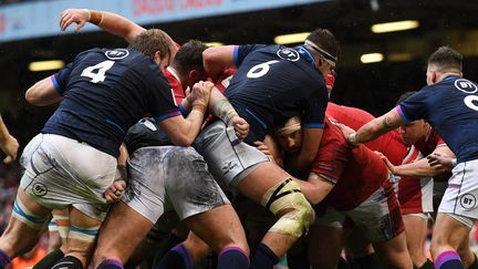 Le maul&nbsp;gallois avance face aux Écossais, le 12 février 2022.&nbsp; (PAUL ELLIS / AFP)