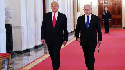 Donald Trump a annoncé son "plan de paix" pour le Proche-Orient aux côtés du Premier ministre israélien Benjamin Netanyahou à la Maison Blanche. (MANDEL NGAN / AFP)