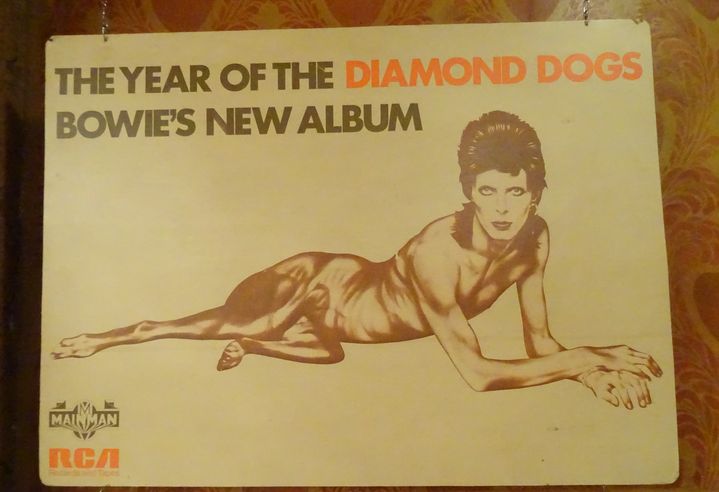 Un panneau publicitaire anglais pour l'album "Diamond Dogs" (1974) de David Bowie, et son fameux visuel mi-homme mi-chien, à l'exposition "Bowie Odyssée" au Palace. (COLLECTION JEAN-CHARLES GAUTIER / PHOTO LAURE NARLIAN FRANCEINFO)