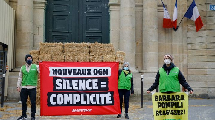 Des membres de l'ONG Greenpeace France ont manifesté contre les "nouveaux OGM" devant le ministère de la Transition écologique à Paris, lundi 26 avril. (GEOFFROY VAN DER HASSELT / AFP)