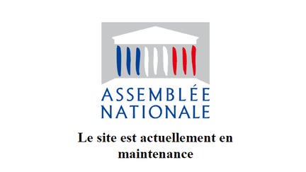 Le site de l'Assemblée nationale ne fonctionnait plus, le 27 mars 2023. (Capture d'écran du site)