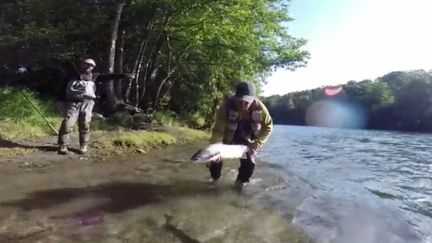 Le saumon devient une ressource de plus en plus rare dans nos rivières. Pour sauver cette espèce, la mode est au "no kill". Le saumon est systématiquement relâché. (FRANCE 3)