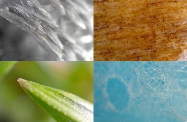 De gauche à droite : photo avec la "lentille microscope" de l'Oppo Find X3 Pro d'un fauteuil de bureau, d'une chaise en bois, d'un brin d'herbe et d'un masque chirurgical. (Faustine Mazereeuw)