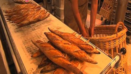 Des traditionnelles baguettes au pain de mie, en passant par les meules, les pains boules ou encore les sans gluten, le magazine a testé au total 65 références, quel que soit leur lieu de vente.