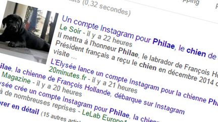 &nbsp; (La rumeur d'un compte Instagram du chien de François Hollande largement partagée dans les médias © Capture d'écran Google actu)