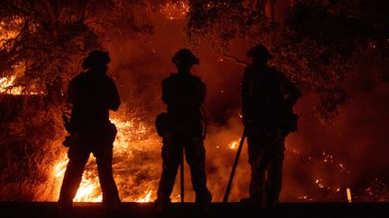 Trois pompiers observent un brasier à Upper Lake en Californie, le 31 juillet 2018.&nbsp; (JOSH EDELSON / AFP)