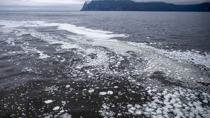 Près des côtes&nbsp;du Kamtchatka (Russie), lundi 5 octobre 2020. (YELENA VERESHCHAKA / TASS / GETTYIMAGES)