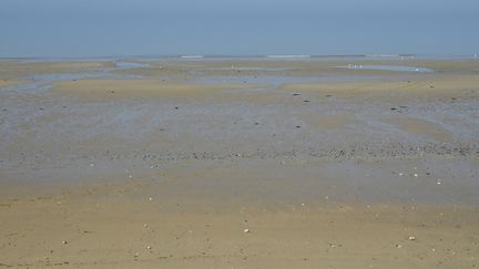 La plage de Courseulles-sur-mer (Calvados). (STÉPHANE GEUFROI / MAXPPP)