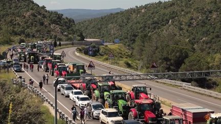 Colère des agriculteurs : de nouvelles mobilisations en France et en Espagne (franceinfo)