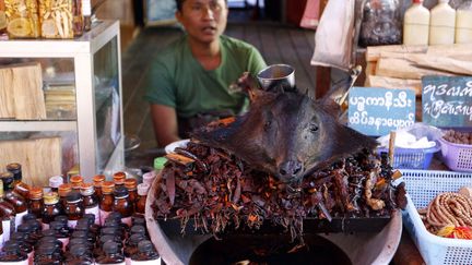 Une t&ecirc;te de goral est expos&eacute;e sur un &eacute;tal au milieu d'autres produits exotiques &agrave; Myanmar (Birmanie), le 13 f&eacute;vrier 2012. Le braconnage en Asie est responsable de la disparition de nombreux animaux auxquels&nbsp;on attribue des pouvoirs de gu&eacute;rison. (RUNGROJ YONGRIT / MAXPPP)