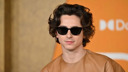 Regarder la vidéo Timothée Chalamet s'invite à son propre concours de sosies à New York... et perd