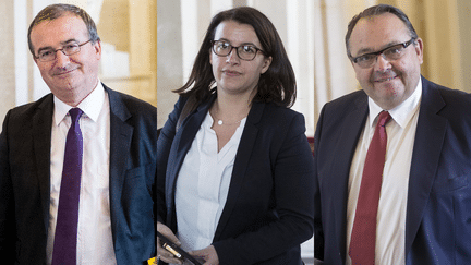 Les députés Hervé Mariton (LR), Cécile Duflot (EELVE) et Patrick Mennucci (PS), à l'Assemblée nationale. (MAXPPP)