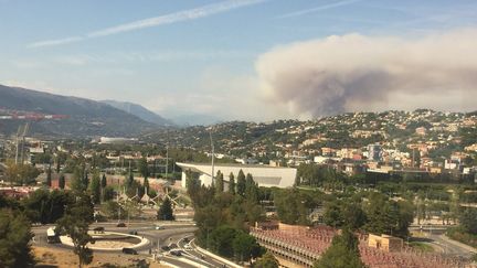 Le feu s'est déclaré vers 15h, lundi 17 août, à&nbsp;Castagniers (Alpes-Maritimes). (Préfecture des Alpes Maritimes - Twitter)