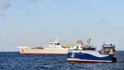 Dutch factory trawlers off the coast of Boulogne-sur-Mer (Pas-de-Calais), December 6, 2023. (LUDOVIC CALOIN / MAXPPP)