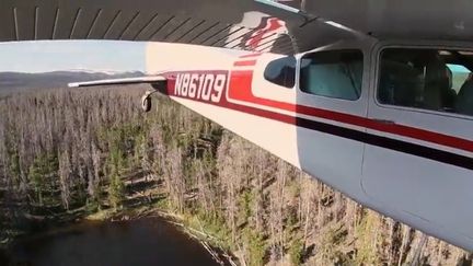 Etats-Unis : des poissons largués dans les airs pour repeupler les lacs