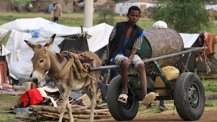 Un jeune Sud-Soudanais transporte de l'eau au camp de réfugiés près de Al-Qanaa lors d'une crue du Nil, le 14 septembre 2021. (ASHRAF SHAZLY / AFP)