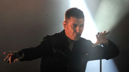 Etienne Daho sur scène aux Francofolies de la Rochelle en juillet 2015.&nbsp; (XAVIER LEOTY / AFP)