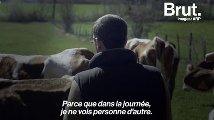 VIDEO. "Les gens à qui je parle le plus c'est à mes vaches et à mon chien", confie un agriculteur (BRUT)