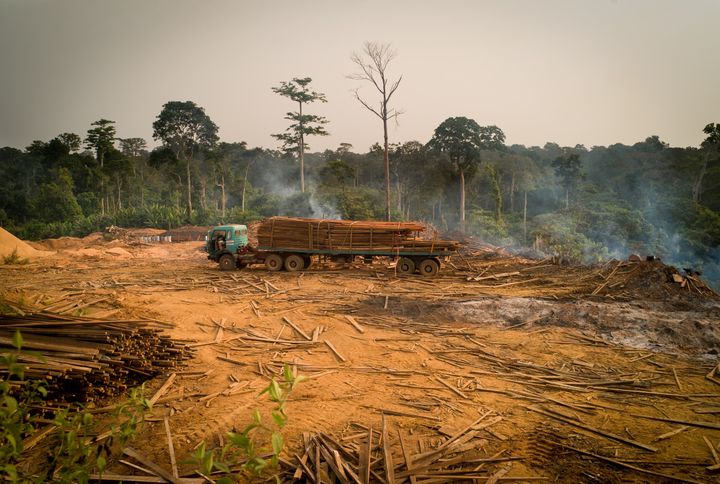 Le virus Ebola en Afrique s’est propagé particulièrement dans les zones déforestées.&nbsp; (MICHAEL KRAUS / EYEEM / EYEEM)