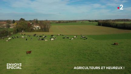 Envoyé spécial. Agriculteurs et heureux ! (ENVOYÉ SPÉCIAL  / FRANCE 2)