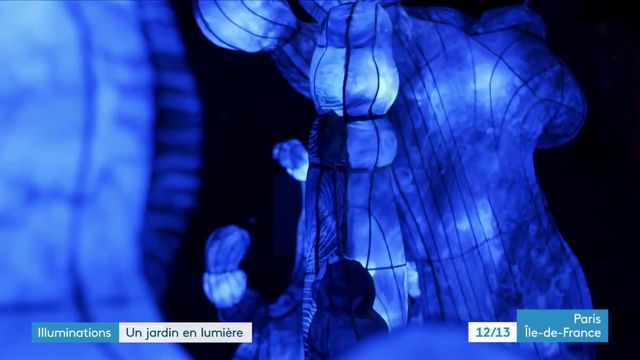 Océan en voie d'illumination, la féérie continue au Jardin des Plantes  lors du festival des lumières ! - Paris Secret