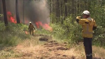 Incendies en Gironde : les pompiers luttent contre les flammes