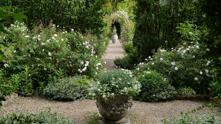 Le jardin blanc et son ouverture sur la Roseraie.&nbsp; (ISABELLE MORAND / RADIO FRANCE / FRANCE INFO)