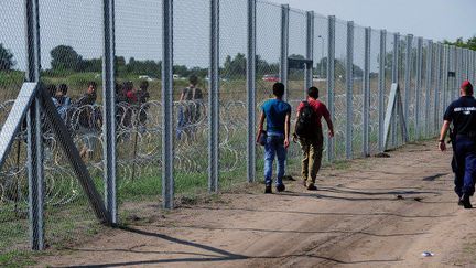 La frontière de barbelés entre la Hongrie et la Serbie érigée en 2015 pour bloquer le flux des migrants. (Attila Kisbenedeck/AFP)