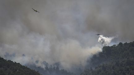 Des avions interviennent sur les incendies qui touchent l'île de Rhodes, en Grèce, le 24 juillet 2023. (SPYROS BAKALIS / AFP)