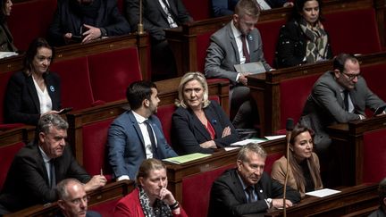 Les députés du Rassemblement national à l'Assemblée nationale, à Paris, le 8 novembre 2022. (ARTHUR NICHOLAS ORCHARD / HANS LUCAS / AFP)