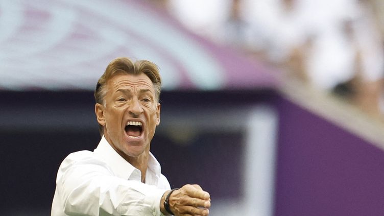 Coupe du monde 2022 : qui est Hervé Renard, l'entraineur français de l'équipe d'Arabie Saoudite ?