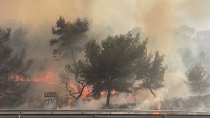 Incendies : plus de 30 hectares sont partis en fumée près de Marseille (FRANCEINFO)