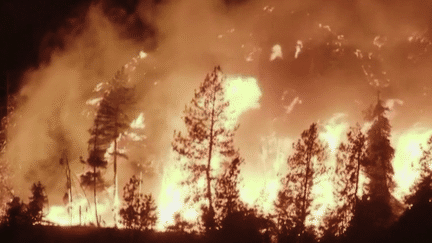 Partout sur la planète, les conséquences du changement climatique sont visibles, avec des canicules, des incendies ou des inondations. L'été 2023 a été celui de tous les extrêmes. (France 2)