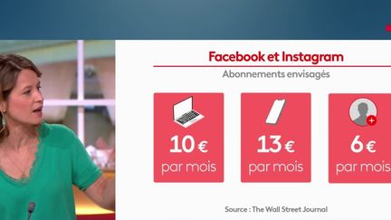 Il faudra peut-être bientôt payer pour avoir accès à Facebook et Instagram. (France 2)