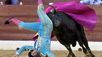 Le matador espagnol&nbsp;Conchi Rios est renvers&eacute; par un taureau lors d'une corrida &agrave; Murcia (Espagne), le 15 septembre 2012. (EPA / MAXPPP)