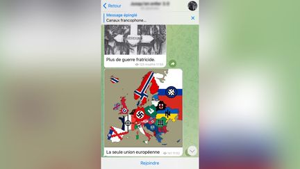 Echange sur&nbsp;une&nbsp;boucle Telegram fréquentée par l'un des deux hommes mis en garde à vue. (CAPTURE ECRAN / FRANCEINFO)