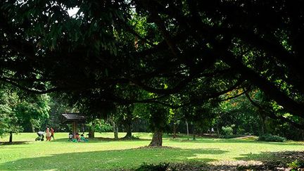 Il fait partie de la longue tradition coloniale de la création de jardins botaniques de style européen sous les tropiques. Conçu initialement comme un jardin d'agrément, il était destiné aux membres de la haute société.

Développé par Lawrence Niven dans le pur style «jardin à l'anglaise» du XVIIIe siècle. Il allait influencer toute  l'Europe. (AFP PHOTO / ROSLAN RAHMAN)