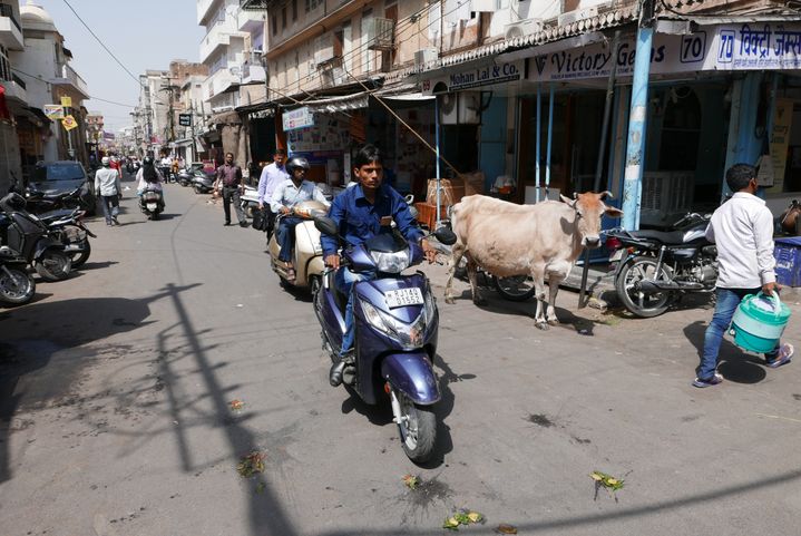 A street in Jaipur, Rajastan.  The two-wheeler, motor or pedal, is still the best way to get around.  Cows are often seen in the streets, omnipresent in the landscape in India.   (EMMANUEL LANGLOIS / FRANCEINFO)