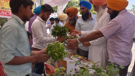 Ces cultivateurs du Pendjab indien vérifient la qualité des semences et des plants de légumes. Des centaines d'entre eux ont participé à cette foire qui leur permet d'échanger sur la culture maraîchère et les problèmes liés à l'agriculture. Ce secteur d'activités reste de loin le premier employeur en Inde. Les promesses du gouvernement, conduit par le parti nationaliste hindou Bharatiya Janata Party, surviennent alors même que des élections ont lieu dans plusieurs grands Etats en 2016 et 2017, et que le vote du monde rural sera crucial. (NARINDER NANU / AFP)