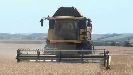 Agriculture : les moissons de blé historiquement basses