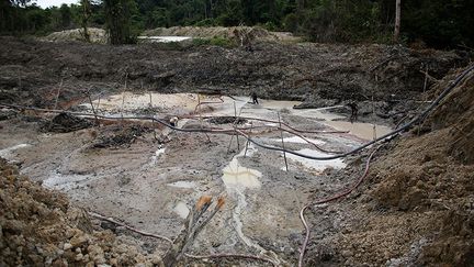 l’actuelle ministre de l’Environnement, Izabella Teixeira, se refuse à faire du code forestier le bouc-émissaire de la déforestation. Elle accuse plutôt la complicité de certains Etats avec les réseaux mafieux. D’autre part, elle pointe du doigt les mines sauvages d’or et de diamants.    (Reuters/Nacho Doce)