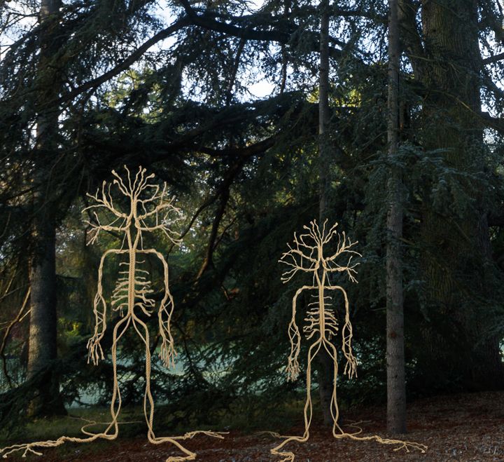 Simulation de l'installation de Prune Nourry pour le Domaine de Chaumont-sur-Loire. (DR)