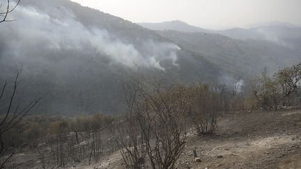 Une zone touchée par les incendies à&nbsp;Tizi Ouzou, le 13 août 2021, en Algérie. (MOUSAAB ROUIBI / ANADOLU AGENCY / AFP)