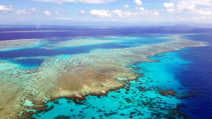 La Grande barrière de corail en Australie, en 2018. (STRINGER / IMAGINECHINA / AFP)