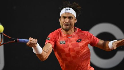 L'Espagnol David Ferrer (VANDERLEI ALMEIDA / AFP)